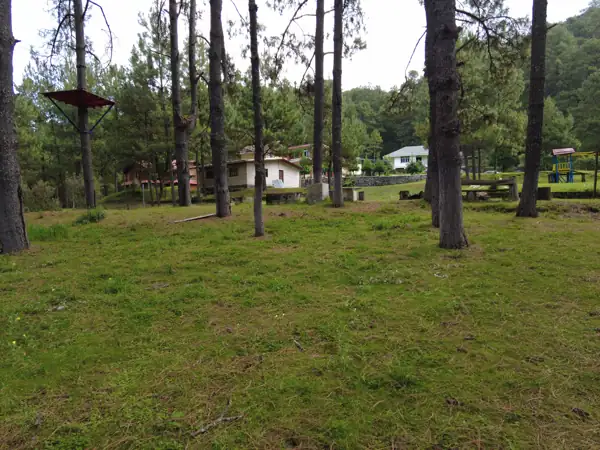 Paricutín