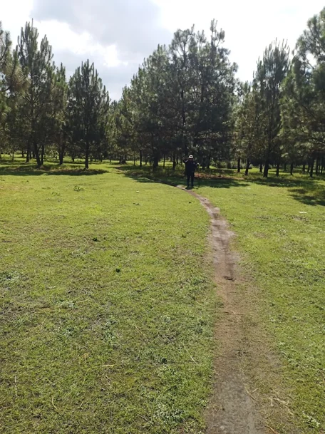 Paricutín